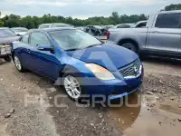 2008 Nissan ALTIMA фото