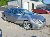 2008 Nissan ALTIMA фото