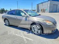 2008 Nissan ALTIMA фото