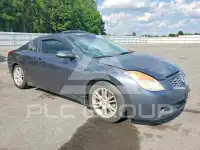 2008 Nissan ALTIMA фото