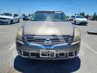 2008 Nissan ALTIMA фото