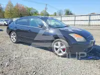 2008 Nissan ALTIMA фото
