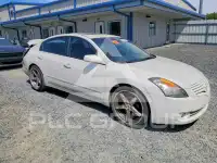 2008 Nissan ALTIMA фото