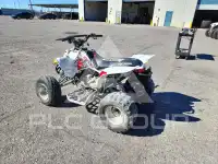2008 Polaris Atv photo