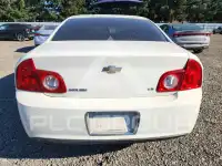 2008 Chevrolet Malibu фото