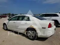 2008 Chevrolet Malibu фото