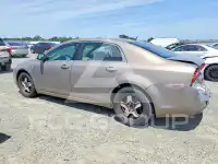 2008 Chevrolet Malibu фото