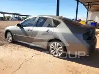 2008 Infinity M45 фото