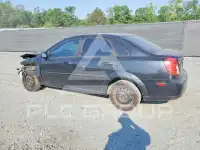 2008 Suzuki FORENZA фото