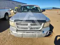 2008 Dodge DAKOTA фото