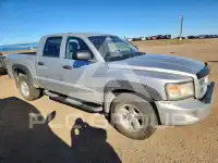 2008 Dodge DAKOTA фото