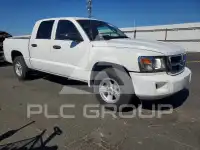 2008 Dodge DAKOTA photo