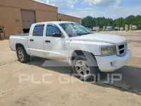 2008 Dodge DAKOTA photo