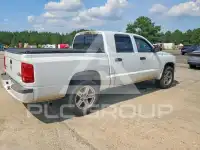 2008 Dodge DAKOTA photo
