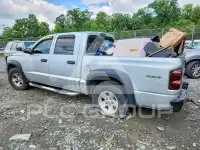 2008 Dodge DAKOTA фото