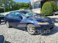 2008 Acura TSX фото