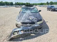 2008 Acura TSX photo