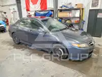 2008 Acura TSX фото