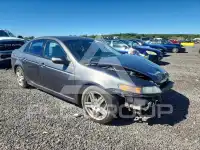 2008 Acura TL фото