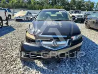 2008 Acura TL фото