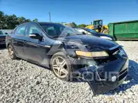 2008 Acura TL фото
