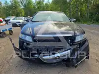 2008 Acura TL фото