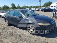 2008 Acura TL фото