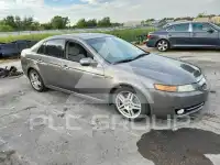 2008 Acura TL фото