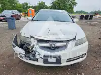 2008 Acura TL фото