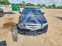 2008 Acura TL фото