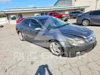 2008 Acura TL фото