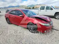 2008 Acura TL фото