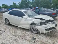 2008 Acura TL photo