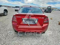2008 Acura TL фото