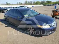 2008 Acura TL фото