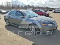 2008 Acura TL photo