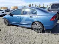 2008 Honda CIVIC photo