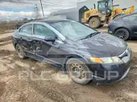 2008 Honda CIVIC фото