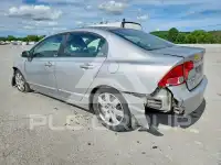 2008 Honda CIVIC фото