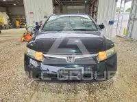 2008 Honda CIVIC фото
