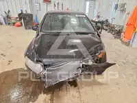 2008 Honda CIVIC фото