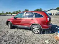 2008 Honda CR-V photo