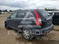2008 Honda CR-V photo