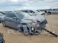 2008 Honda Accord photo