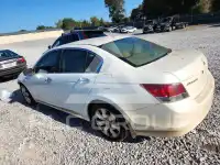 2008 Honda Accord фото