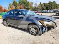 2008 Honda Accord photo