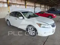 2008 Honda Accord photo