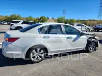 2008 Honda Accord фото