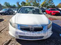 2008 Honda Accord photo