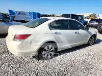 2008 Honda Accord фото